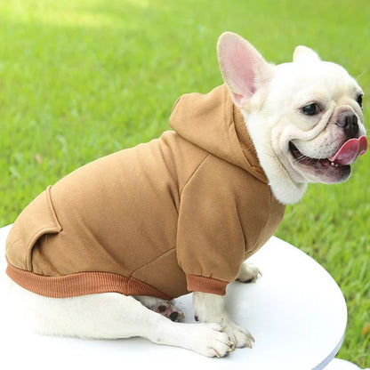 Cozy Dog Hooded Sweatshirt