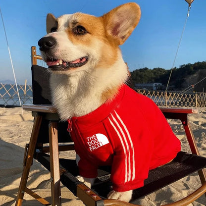 Cool Dog Hoodies: Cozy & Trendy Canine Attire